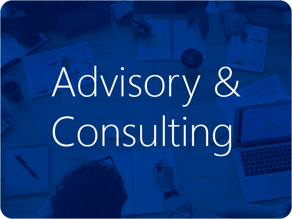 Advisory & Consulting Services